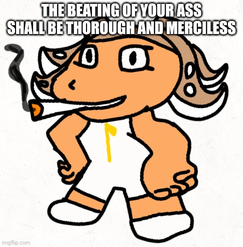 Side order agent 8 smokes a fat blunt | THE BEATING OF YOUR ASS SHALL BE THOROUGH AND MERCILESS | made w/ Imgflip meme maker