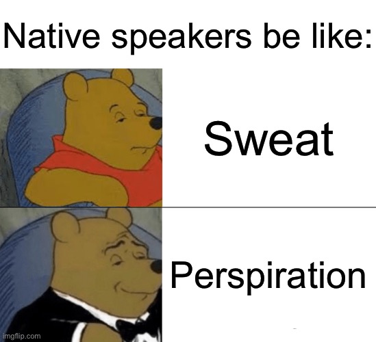 I don’t understand where does the superiority come from | Native speakers be like:; Sweat; Perspiration | image tagged in memes,tuxedo winnie the pooh | made w/ Imgflip meme maker