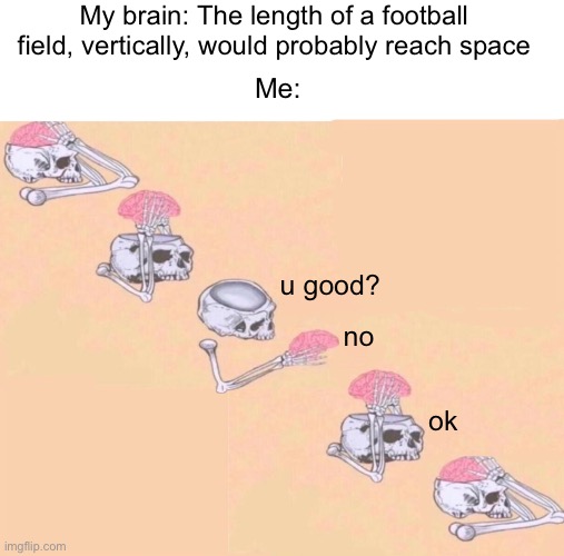 New template! | My brain: The length of a football field, vertically, would probably reach space; Me:; u good? no; ok | image tagged in new template,skeleton shut up meme,shower thoughts,brain,skull | made w/ Imgflip meme maker