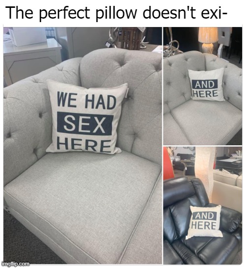 A real conversation piece | The perfect pillow doesn't exi- | image tagged in funny | made w/ Imgflip meme maker