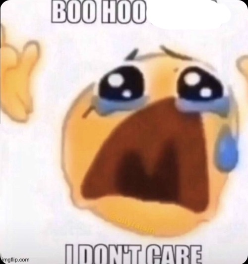 boo hoo I don't care | image tagged in boo hoo i don't care | made w/ Imgflip meme maker