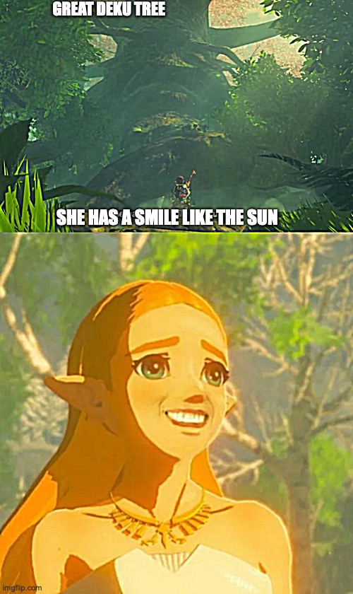 Zelda's smile meme | GREAT DEKU TREE; SHE HAS A SMILE LIKE THE SUN | image tagged in zelda,smile | made w/ Imgflip meme maker