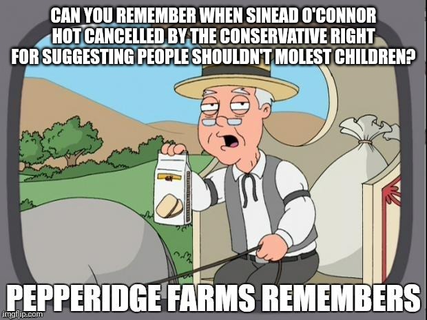 And they'd do it again | CAN YOU REMEMBER WHEN SINEAD O'CONNOR HOT CANCELLED BY THE CONSERVATIVE RIGHT FOR SUGGESTING PEOPLE SHOULDN'T MOLEST CHILDREN? | image tagged in pepperidge farms remembers,scumbag republicans,pedophiles,terrorists,jeffrey epstein | made w/ Imgflip meme maker