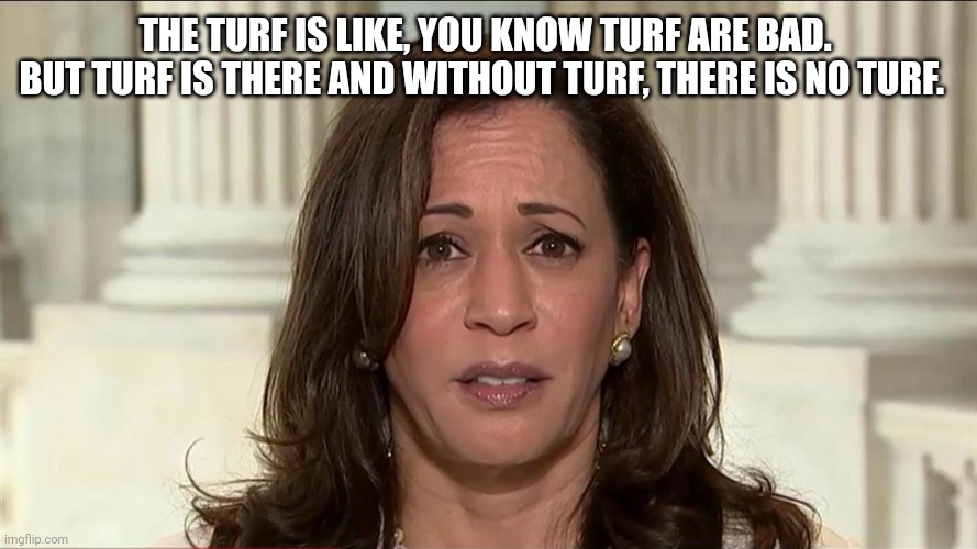 kamala harris | THE TURF IS LIKE, YOU KNOW TURF ARE BAD.  BUT TURF IS THERE AND WITHOUT TURF, THERE IS NO TURF. | image tagged in kamala harris | made w/ Imgflip meme maker