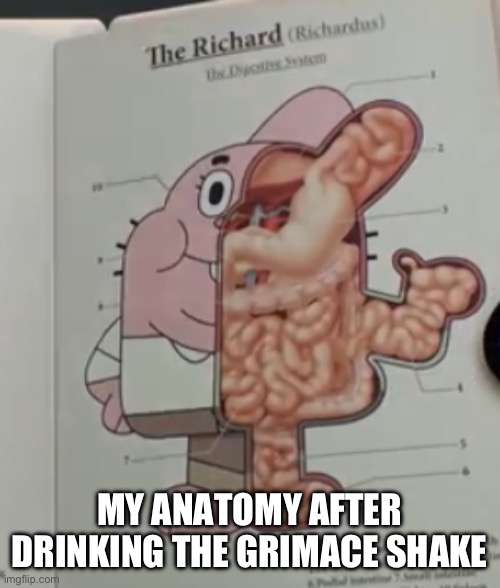 Richard Watterson anatomy | MY ANATOMY AFTER DRINKING THE GRIMACE SHAKE | image tagged in richard watterson anatomy | made w/ Imgflip meme maker