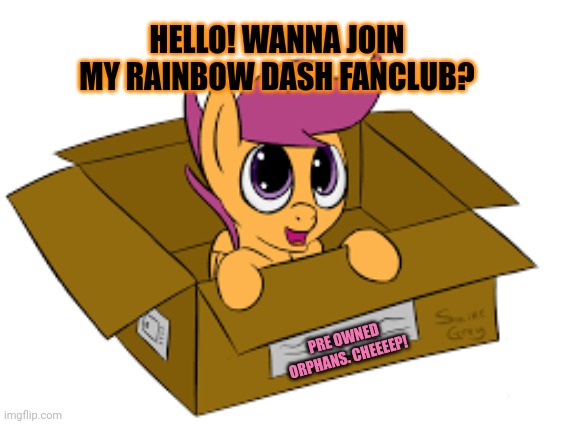 Mail order ponees | HELLO! WANNA JOIN MY RAINBOW DASH FANCLUB? PRE OWNED ORPHANS. CHEEEEP! | image tagged in mlp,scootaloo,mail order,ponies | made w/ Imgflip meme maker
