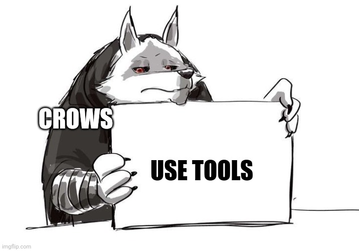 Crows can use tools | CROWS; USE TOOLS | image tagged in death holding up a sign | made w/ Imgflip meme maker