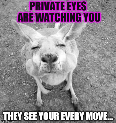 Private Eyes | PRIVATE EYES ARE WATCHING YOU THEY SEE YOUR EVERY MOVE... | image tagged in private,eyes,watching you,watching me,spy,memes | made w/ Imgflip meme maker