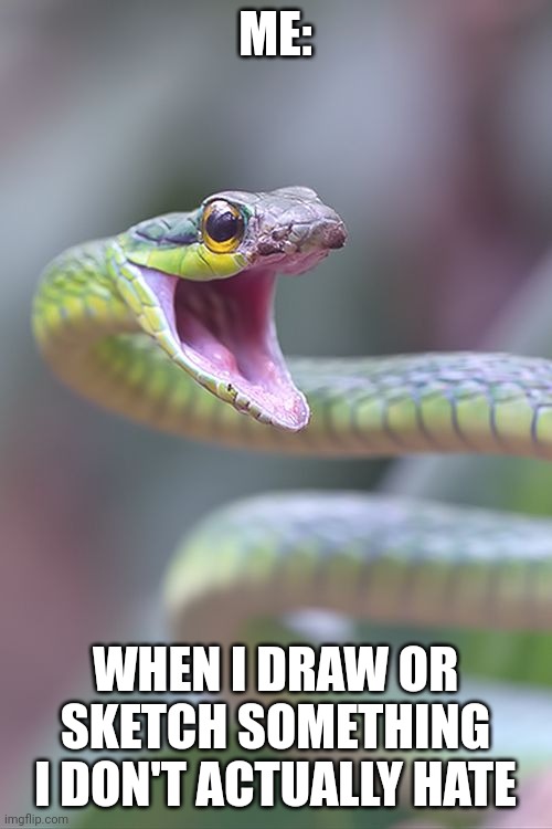 Hey! I don't actually hate my artwork this time!!! | ME:; WHEN I DRAW OR SKETCH SOMETHING I DON'T ACTUALLY HATE | image tagged in shocked snek | made w/ Imgflip meme maker