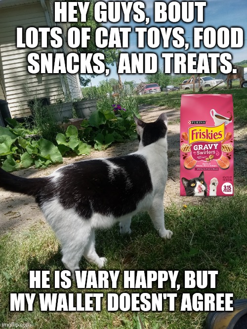 My cats gifts ? | HEY GUYS, BOUT LOTS OF CAT TOYS, FOOD  SNACKS,  AND TREATS. HE IS VARY HAPPY, BUT MY WALLET DOESN'T AGREE | image tagged in stimpy the kitty | made w/ Imgflip meme maker
