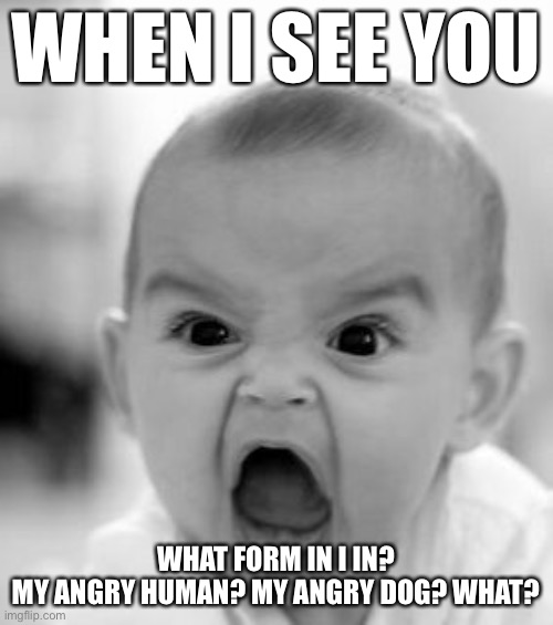 Argh! | WHEN I SEE YOU; WHAT FORM IN I IN?

MY ANGRY HUMAN? MY ANGRY DOG? WHAT? | image tagged in memes,angry baby | made w/ Imgflip meme maker