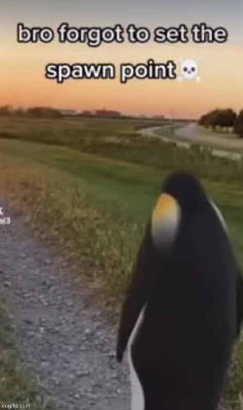 Penguin in the middle of nowhere | image tagged in penguin,spawn point,funny,tweets,what the heck,strange | made w/ Imgflip meme maker