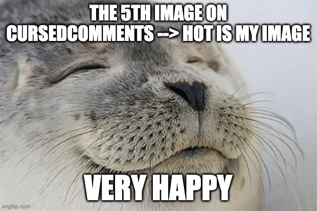 it might be different in the future but rn am happy | THE 5TH IMAGE ON CURSEDCOMMENTS --> HOT IS MY IMAGE; VERY HAPPY | image tagged in memes,satisfied seal | made w/ Imgflip meme maker