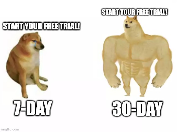 buff doge vs cheems reversed | START YOUR FREE TRIAL! START YOUR FREE TRIAL! 7-DAY; 30-DAY | image tagged in buff doge vs cheems reversed | made w/ Imgflip meme maker