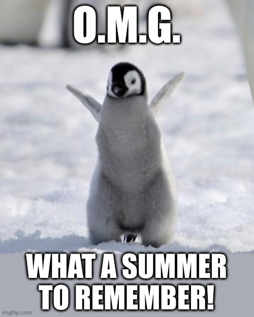 Happy pengu says Hi | O.M.G. WHAT A SUMMER TO REMEMBER! | image tagged in happy penguin | made w/ Imgflip meme maker