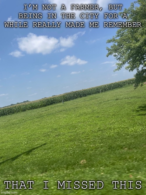 I can’t describe the comfort of coming home to the trees and fields | I’M NOT A FARMER, BUT BEING IN THE CITY FOR A WHILE REALLY MADE ME REMEMBER; THAT I MISSED THIS | image tagged in grass,home | made w/ Imgflip meme maker