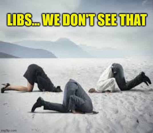 ostrich head in sand | LIBS... WE DON'T SEE THAT | image tagged in ostrich head in sand | made w/ Imgflip meme maker