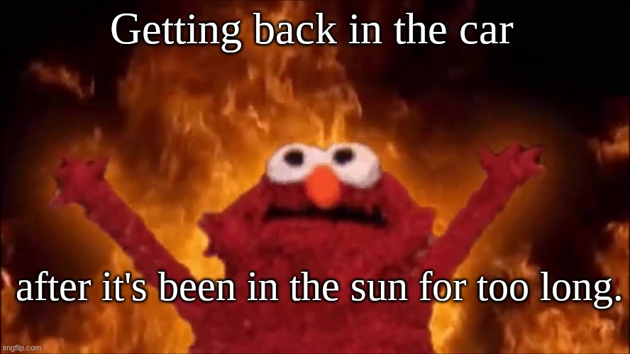 Fire Elmo | Getting back in the car; after it's been in the sun for too long. | image tagged in fire elmo | made w/ Imgflip meme maker
