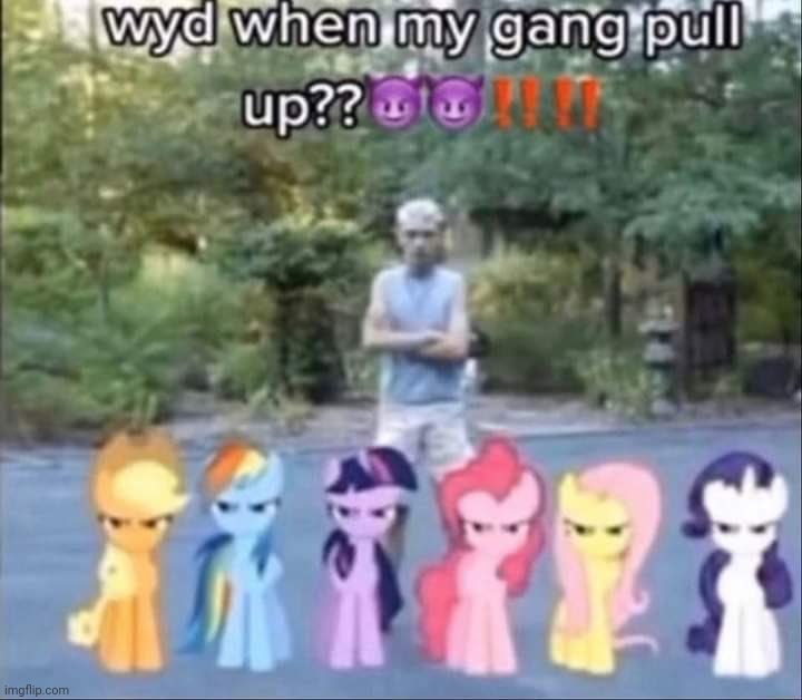 wyd when my gang pull up?? | image tagged in memes,funny,real life,my little pony,wyd when my gang pull up | made w/ Imgflip meme maker