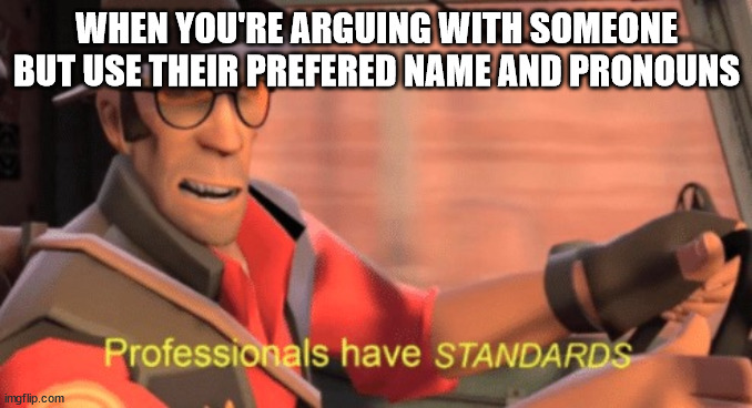 PROFESSIONALS HAVE STANDARDS | WHEN YOU'RE ARGUING WITH SOMEONE BUT USE THEIR PREFERED NAME AND PRONOUNS | image tagged in professionals have standards | made w/ Imgflip meme maker