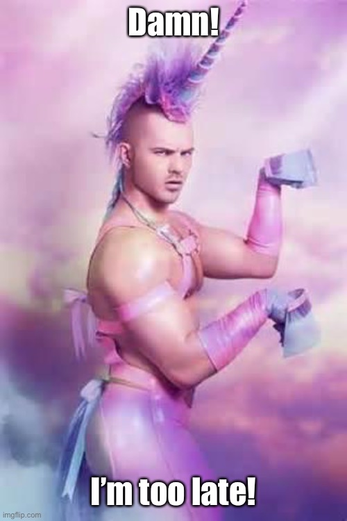 Gay Unicorn | Damn! I’m too late! | image tagged in gay unicorn | made w/ Imgflip meme maker