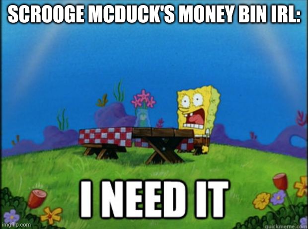 Scrooge's Money bin in real life | SCROOGE MCDUCK'S MONEY BIN IRL: | image tagged in spongebob i need it,ducktales | made w/ Imgflip meme maker
