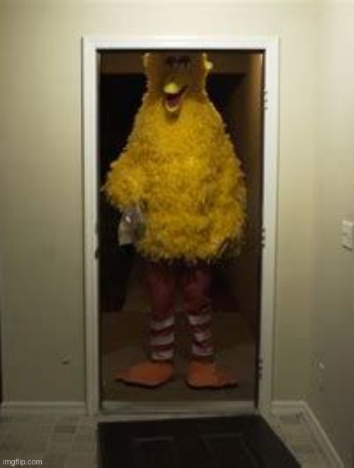 Big Bird Door | image tagged in big bird door | made w/ Imgflip meme maker