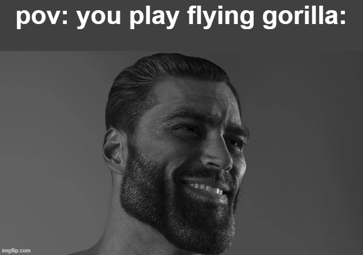 Gigachad | pov: you play flying gorilla: | image tagged in gigachad | made w/ Imgflip meme maker