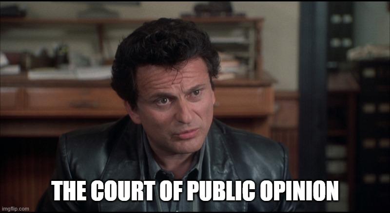 My Cousin Vinny | THE COURT OF PUBLIC OPINION | image tagged in my cousin vinny | made w/ Imgflip meme maker