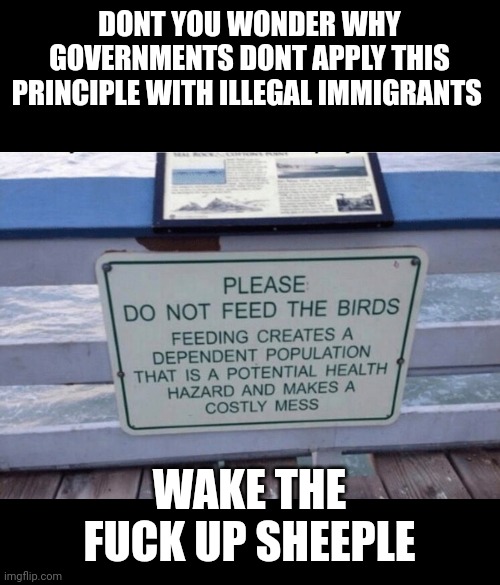 DONT YOU WONDER WHY GOVERNMENTS DONT APPLY THIS PRINCIPLE WITH ILLEGAL IMMIGRANTS; WAKE THE FUCK UP SHEEPLE | made w/ Imgflip meme maker