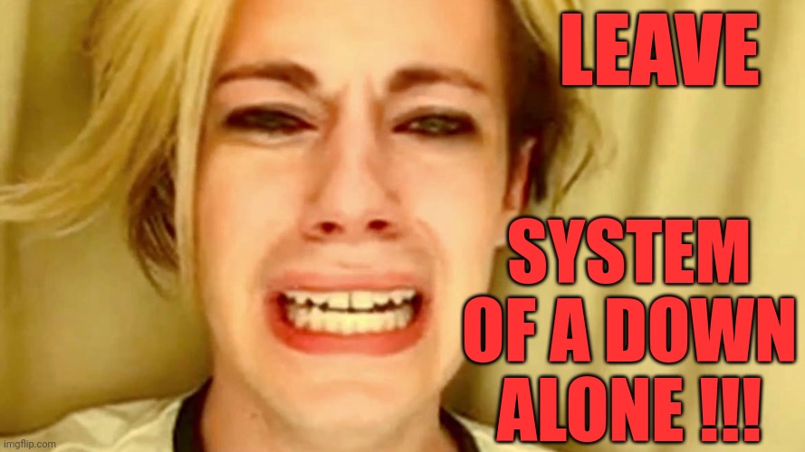 Leave S.O.A.D Alone | LEAVE; SYSTEM OF A DOWN ALONE !!! | image tagged in funny memes | made w/ Imgflip meme maker