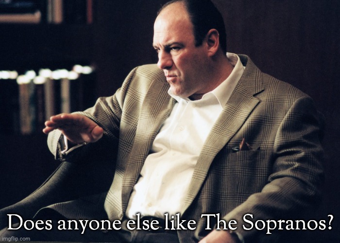 Tony Soprano | Does anyone else like The Sopranos? | image tagged in tony soprano,the sopranos,mafia | made w/ Imgflip meme maker