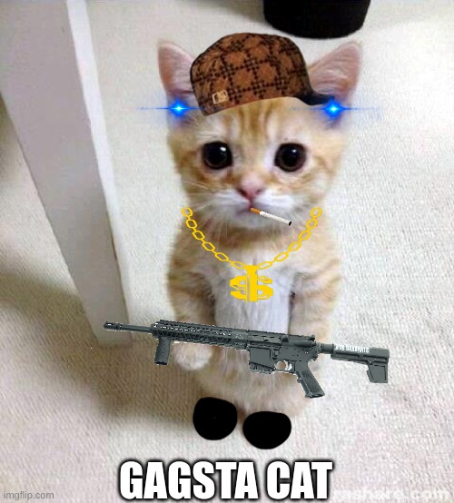 Gangsta cat* | GAGSTA CAT | image tagged in memes,cute cat | made w/ Imgflip meme maker