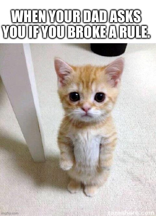 This is my younger brother. P.S. He always denies it | WHEN YOUR DAD ASKS YOU IF YOU BROKE A RULE. | image tagged in memes,cute cat | made w/ Imgflip meme maker