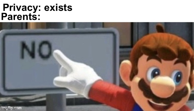 privact exists | Privacy: exists; Parents: | image tagged in gifs,mario no sign,memes,funny,funny memes,you have forfeited your life privileges | made w/ Imgflip meme maker