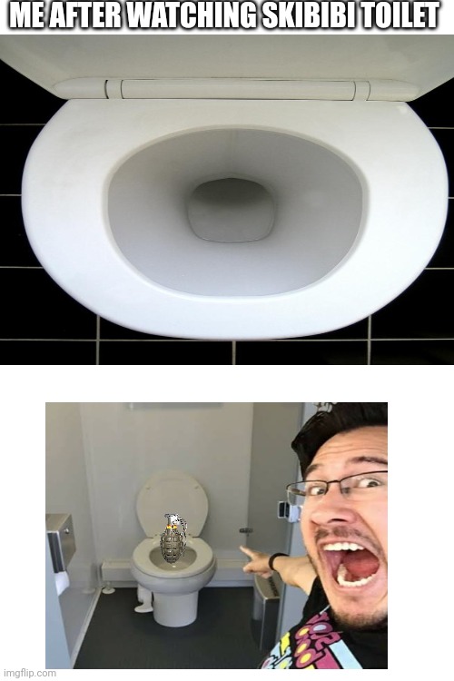 True | ME AFTER WATCHING SKIBIBI TOILET | image tagged in relatable,skibibi toilet,markiplier,toilet,funny | made w/ Imgflip meme maker