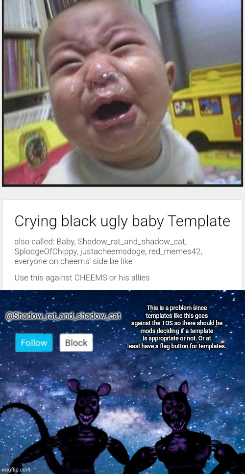 Please stop this | This is a problem since templates like this goes against the TOS so there should be mods deciding if a template is appropriate or not. Or at least have a flag button for templates. | image tagged in shadow rat and cat announcement page,problems | made w/ Imgflip meme maker