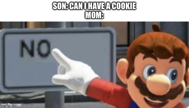mario no sign | SON: CAN I HAVE A COOKIE
MOM: | image tagged in mario no sign | made w/ Imgflip meme maker