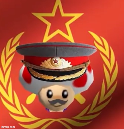 the mushroom kingdom goes under a communist revolution | image tagged in soviet toad | made w/ Imgflip meme maker