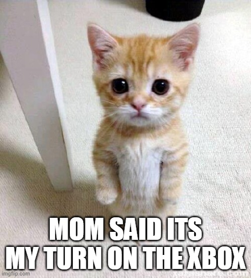 Cute Cat | MOM SAID ITS MY TURN ON THE XBOX | image tagged in memes,cute cat | made w/ Imgflip meme maker