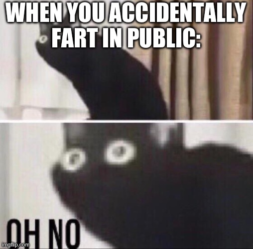I can’t imagine what would happen if this happened to me… | WHEN YOU ACCIDENTALLY FART IN PUBLIC: | image tagged in oh no cat,run | made w/ Imgflip meme maker