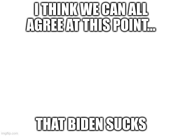 let the hate comments.... roll in. | I THINK WE CAN ALL AGREE AT THIS POINT... THAT BIDEN SUCKS | image tagged in memes,politics | made w/ Imgflip meme maker