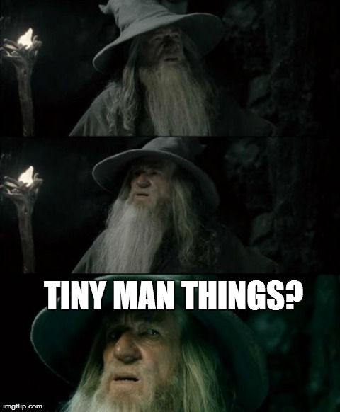 Confused Gandalf | TINY MAN THINGS? | image tagged in memes,confused gandalf,AdviceAnimals | made w/ Imgflip meme maker