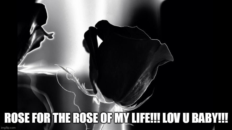 ROSE FOR THE ROSE OF MY LIFE!!! LOV U BABY!!! | made w/ Imgflip meme maker