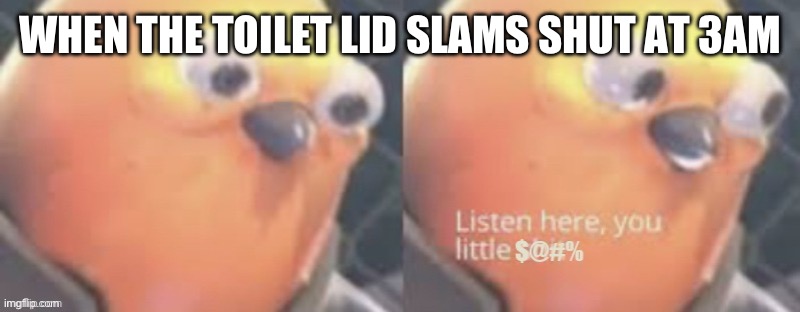 Why does it have to be so loud tho | WHEN THE TOILET LID SLAMS SHUT AT 3AM | image tagged in now listen here you little,3am,toilet,funny,memes,the loudest sounds on earth | made w/ Imgflip meme maker