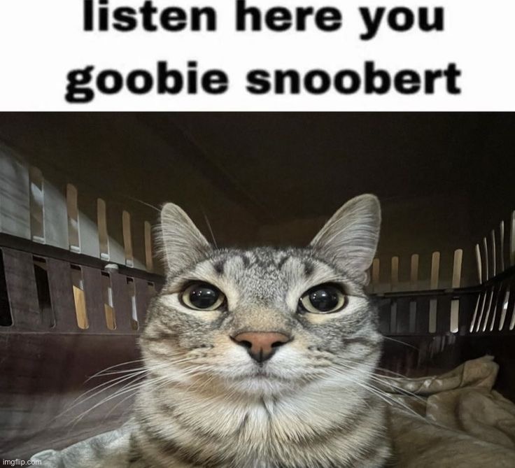 image tagged in memes | made w/ Imgflip meme maker