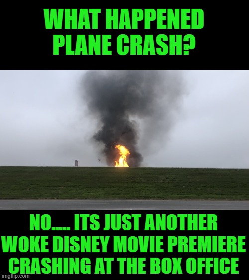 Yep another “ winner” | WHAT HAPPENED PLANE CRASH? NO..... ITS JUST ANOTHER WOKE DISNEY MOVIE PREMIERE CRASHING AT THE BOX OFFICE | image tagged in disney,democrats | made w/ Imgflip meme maker