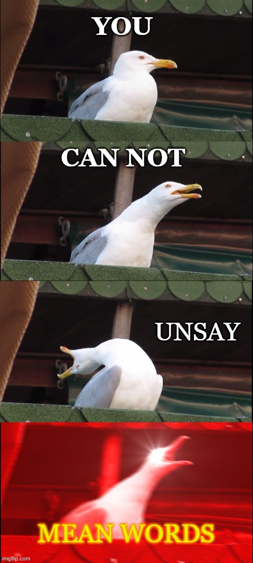 Speak No Evil | YOU; CAN NOT; UNSAY; MEAN WORDS | image tagged in memes,inhaling seagull,curses,hateful words,mean spirit,anger | made w/ Imgflip meme maker