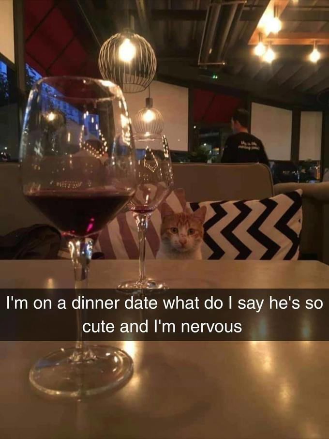 High Quality Dinner Date Cute Nervois Blank Meme Template