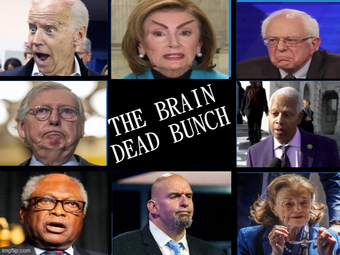 Exactly WTF are we doing here with our "Exceptional" country ?? | THE BRAIN DEAD BUNCH | image tagged in the best of 370 million people | made w/ Imgflip meme maker